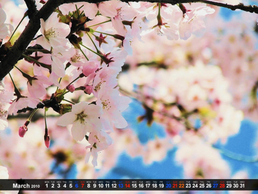 402239 (a): :1600x1200